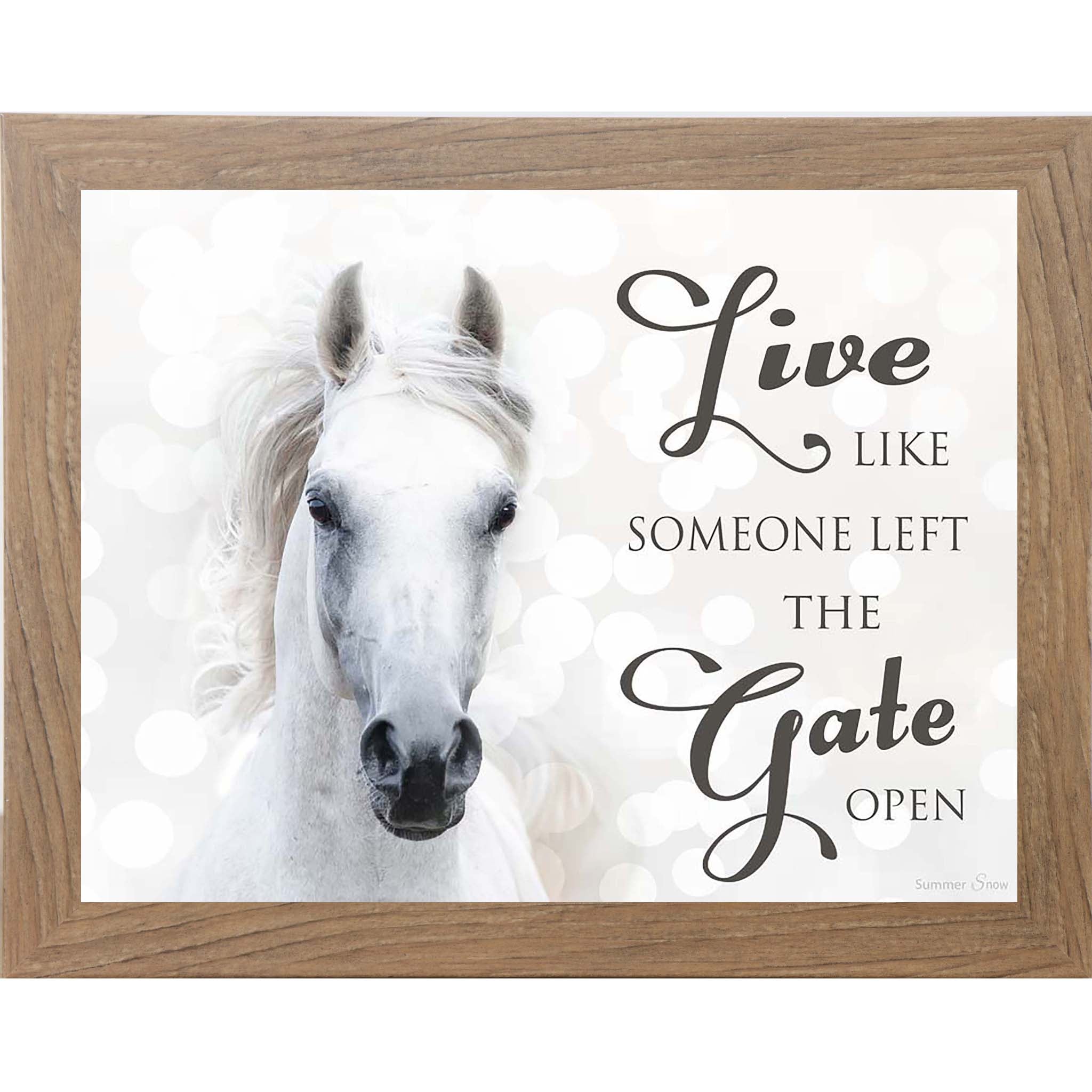 Live Like Someone Left the Gate Open – White Horse Inspirational Framed Wall Art (SSW9819)