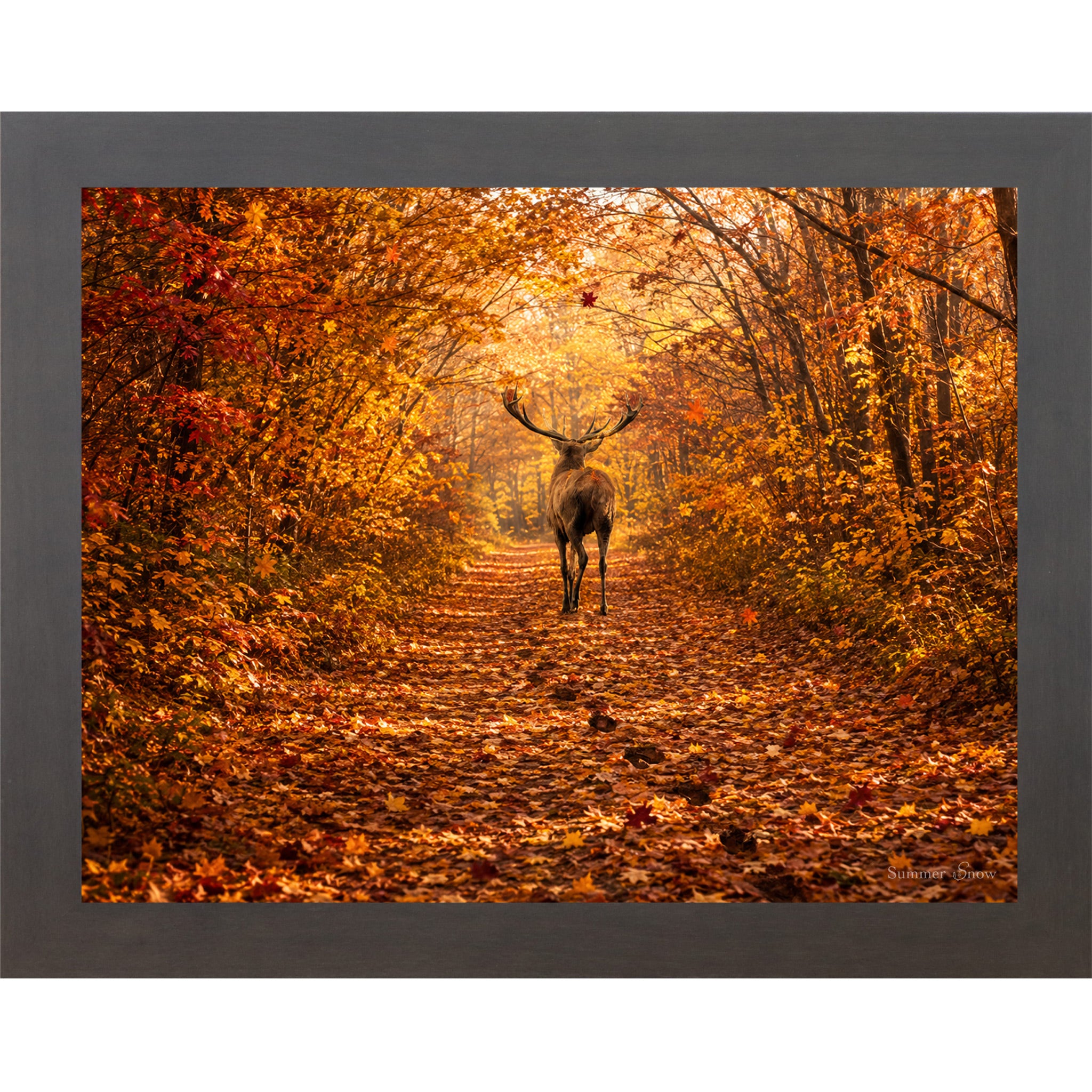 Slatewood framed horizontal nature wall art featuring a deer walking away down a blazing autumn forest path with crimson and amber canopy fallen leaves and golden October light