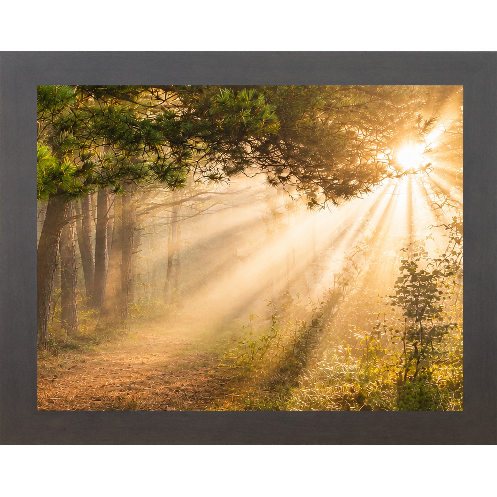 Slatewood framed horizontal nature wall art featuring dramatic golden sunlight rays bursting through misty pine tree canopy over a quiet forest path in warm sacred morning light