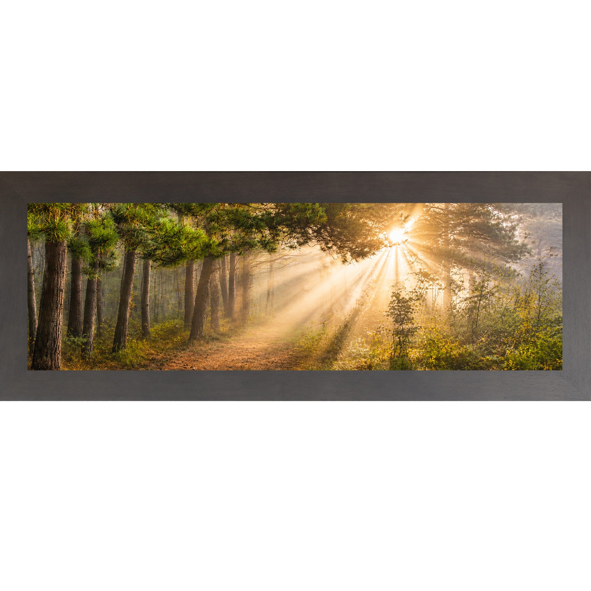 Slatewood framed wide panoramic nature wall art featuring dramatic golden sunlight rays bursting through misty pine tree canopy across a forest path in warm sacred morning light