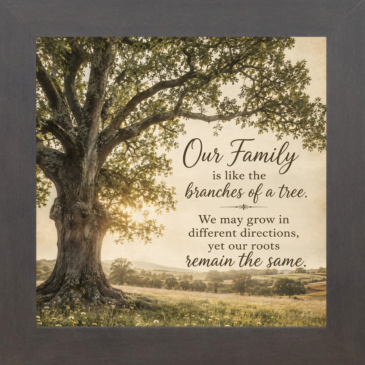 Slatewood framed square family quote wall art featuring a majestic oak tree in golden light with the words "Our Family Is Like The Branches Of A Tree"