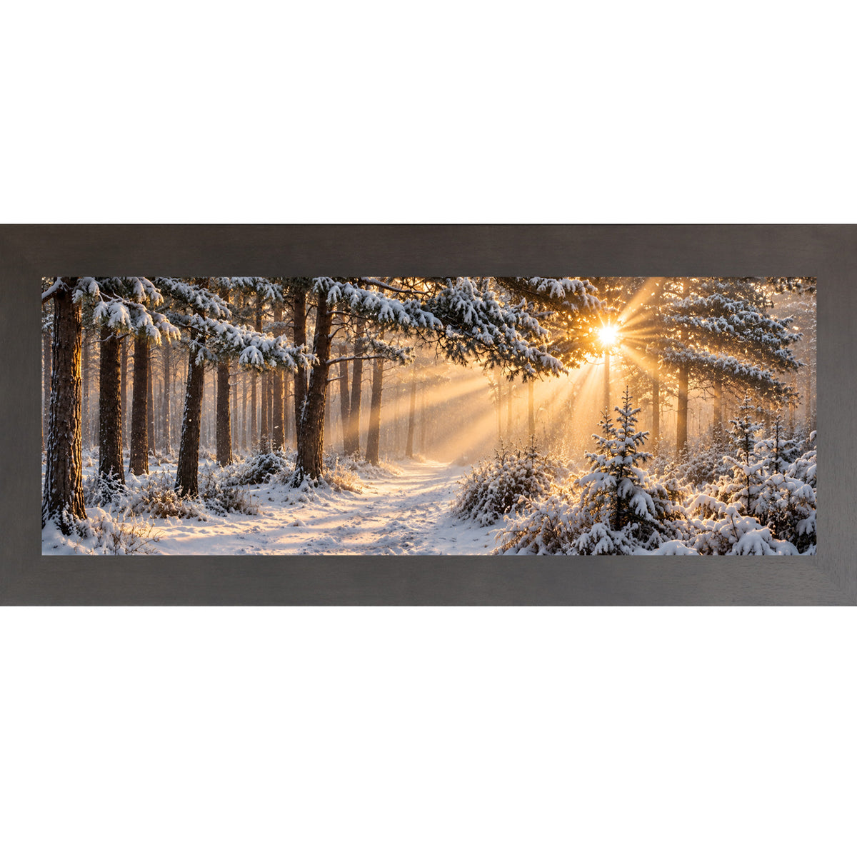 Slatewood framed wide panoramic winter wall art featuring sunrise light breaking through a snow-covered pine forest