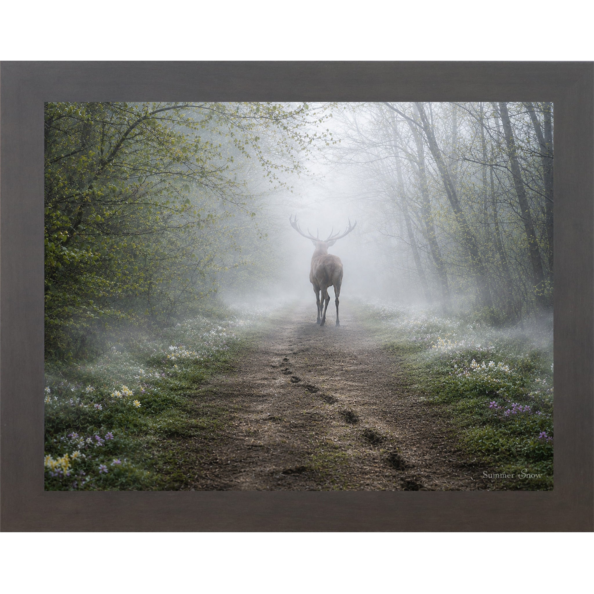 Slatewood framed horizontal nature wall art featuring a deer silhouette dissolving into heavy morning mist on a spring forest path with wildflowers and hoofprints in the soft earth