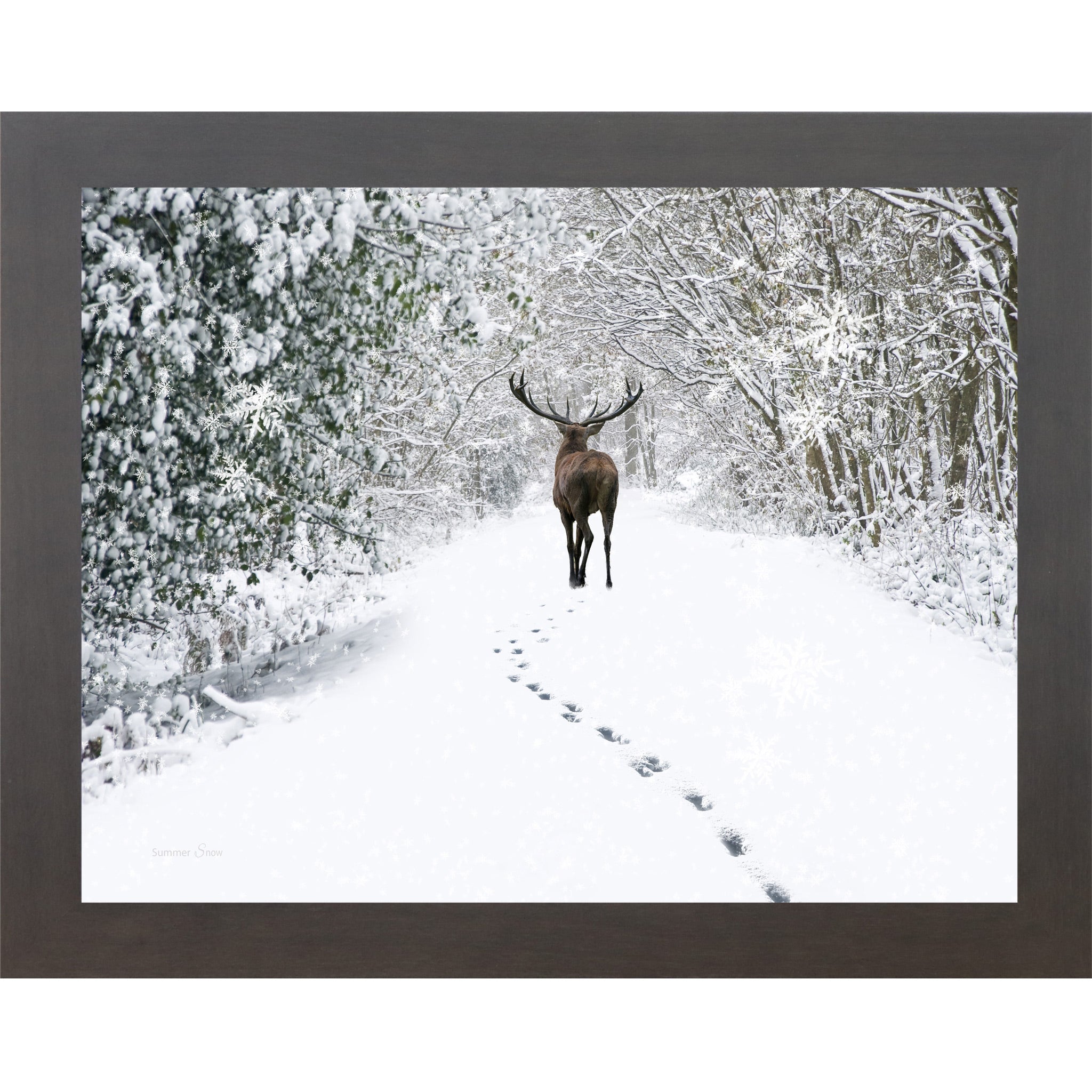 Slatewood framed horizontal nature wall art featuring a deer walking away down a snow-covered winter forest path with snow-laden branches and deep hoofprints in white silence