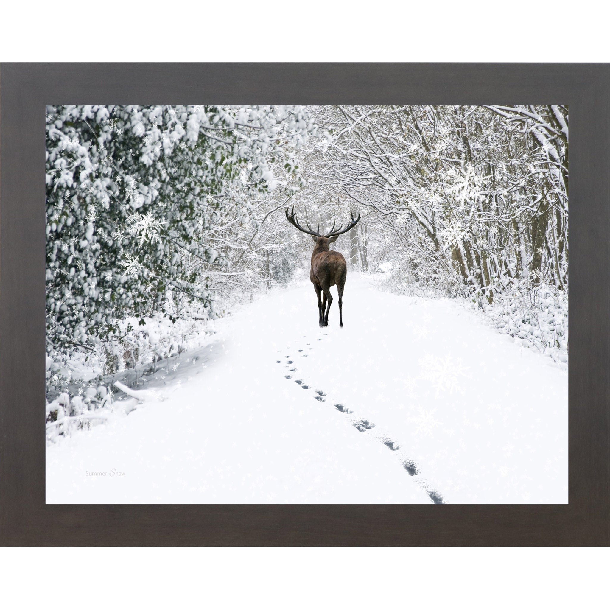 Slatewood framed landscape winter wall art featuring a lone stag walking through snow-covered woods with a trail of tracks behind him