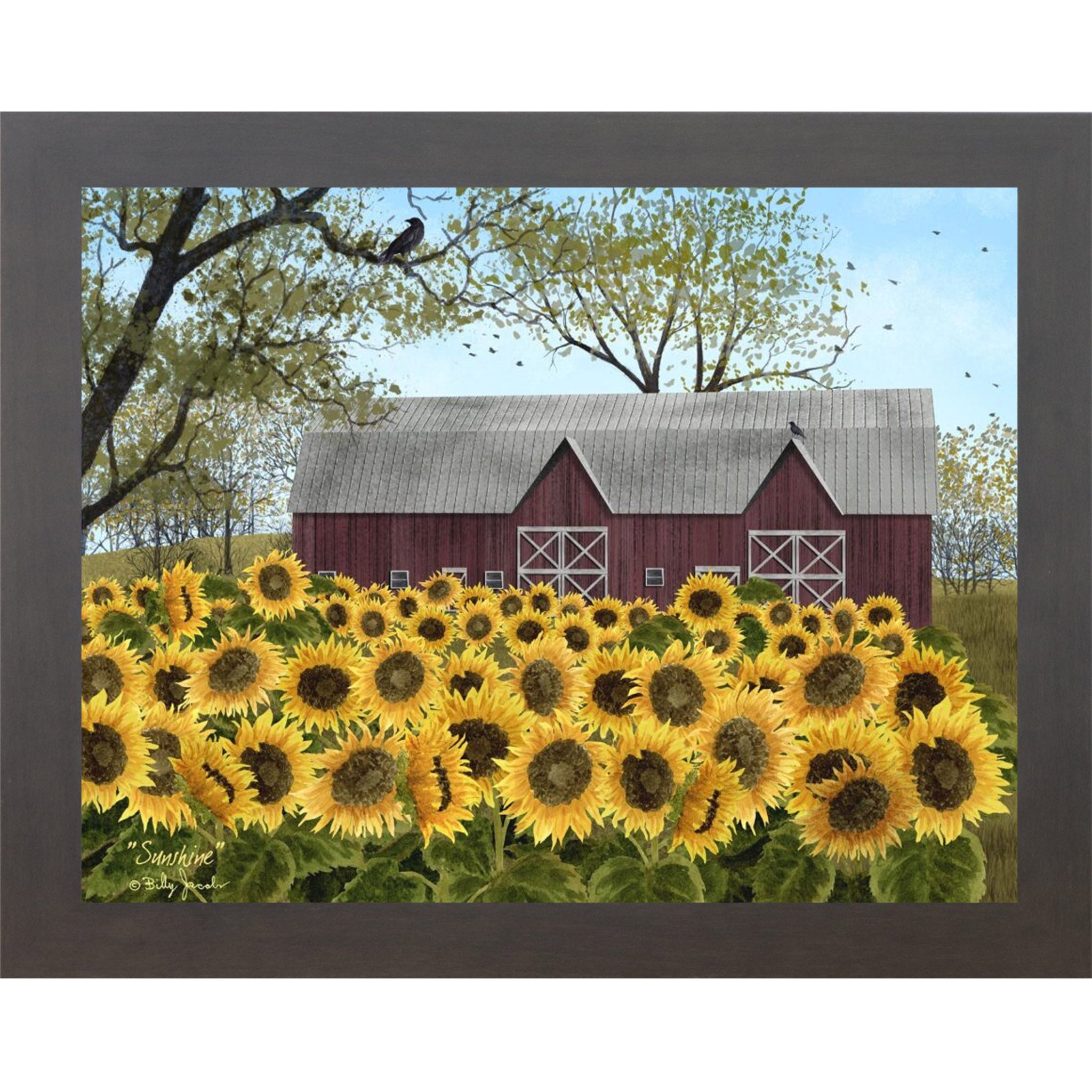 Slatewood framed Billy Jacobs Sunshine wall art featuring a sweeping field of golden sunflowers in full bloom before a classic red barn with white cross doors bare tree branches with a crow and pale blue sky