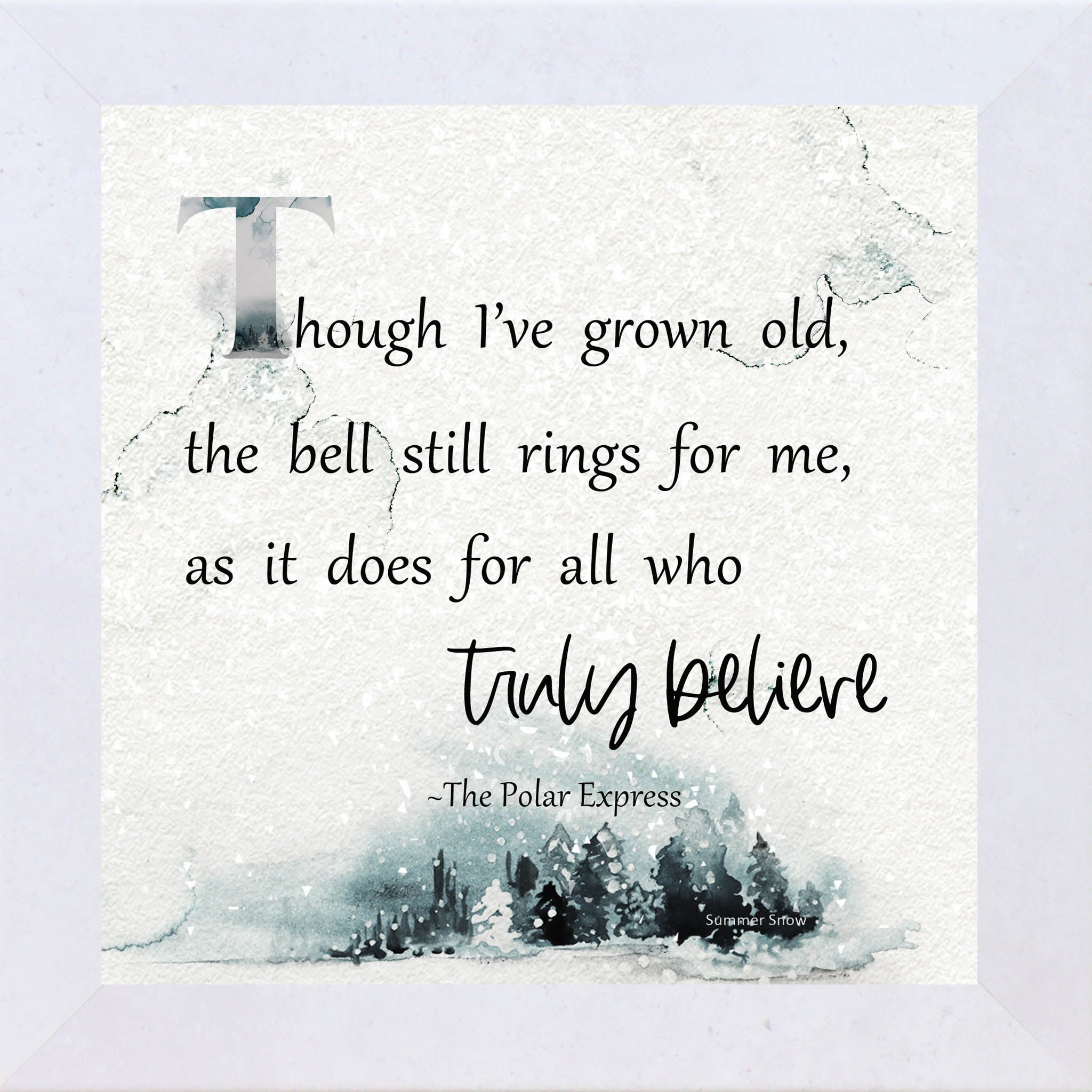 Truly Believe – Polar Express Quote Framed Wall Art | Winter Christmas Decor | SS882 - Summer Snow Art