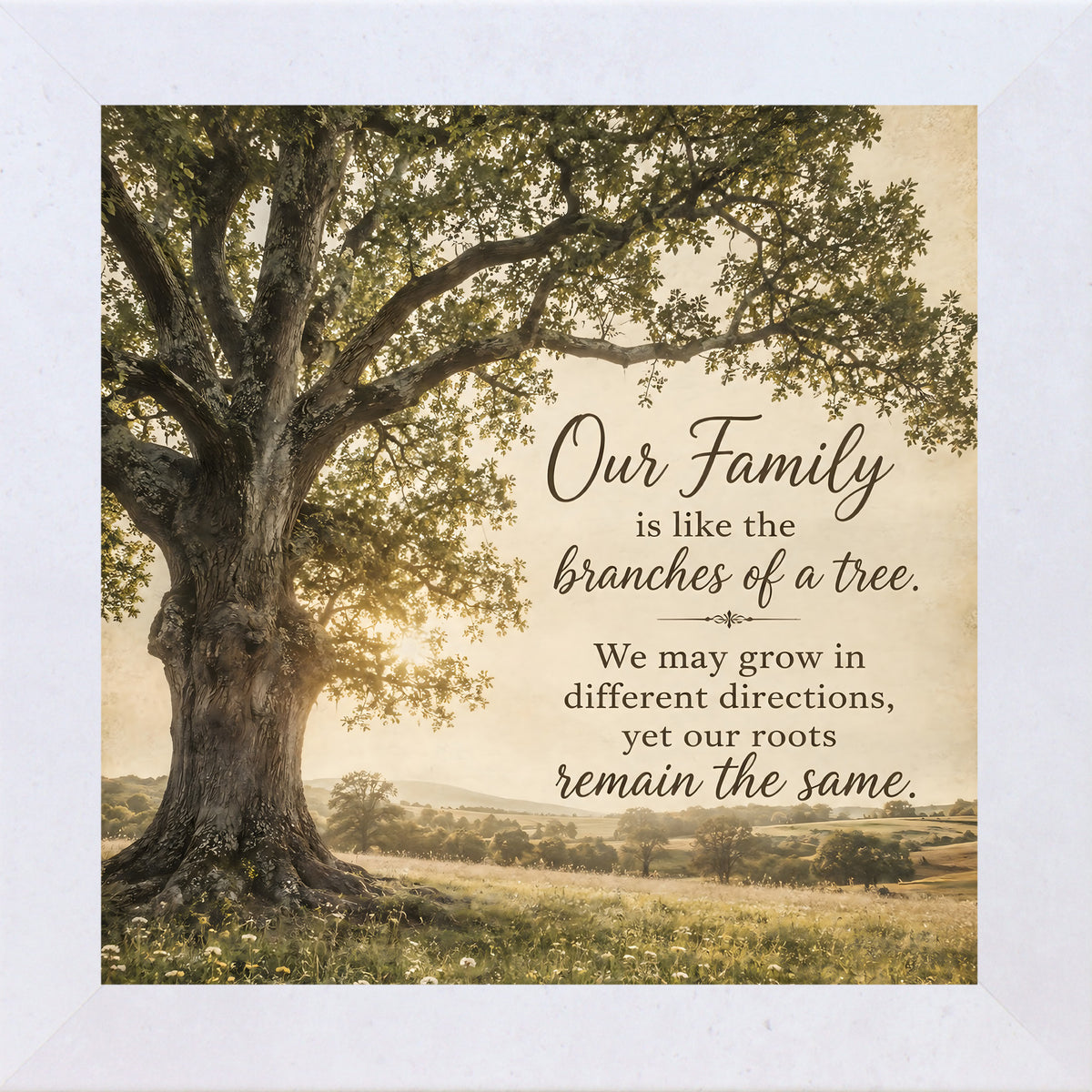 Terracotta White framed square family quote wall art featuring a majestic oak tree in golden light with the words "Our Family Is Like The Branches Of A Tree"