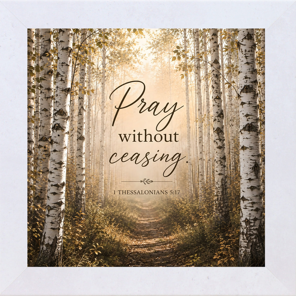 Terracotta White framed square Christian wall art featuring a sunlit birch forest path with the words "Pray Without Ceasing" 1 Thessalonians 5:17