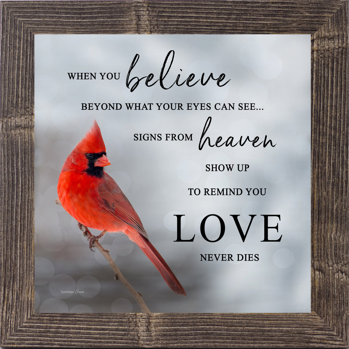 Cardinal sympathy framed wall art with a red cardinal on a branch and the words “When you believe” on a soft blue gray blurred background