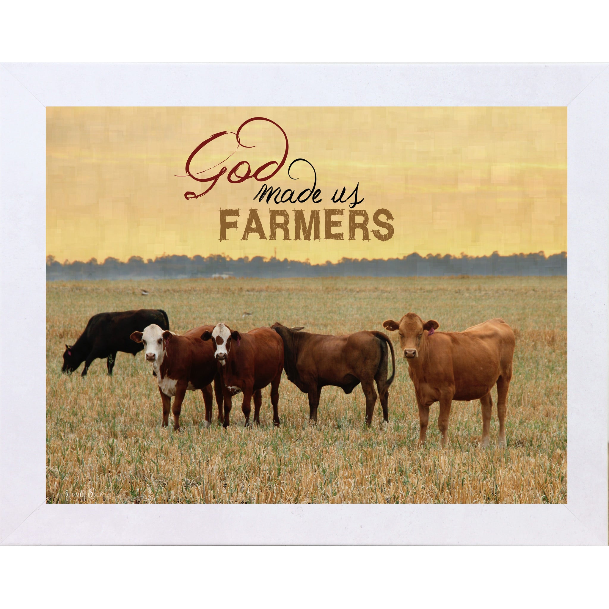Terracotta White framed horizontal farmhouse landscape wall art with cattle grazing in a golden field at sunset with the words "God Made Us Farmers"