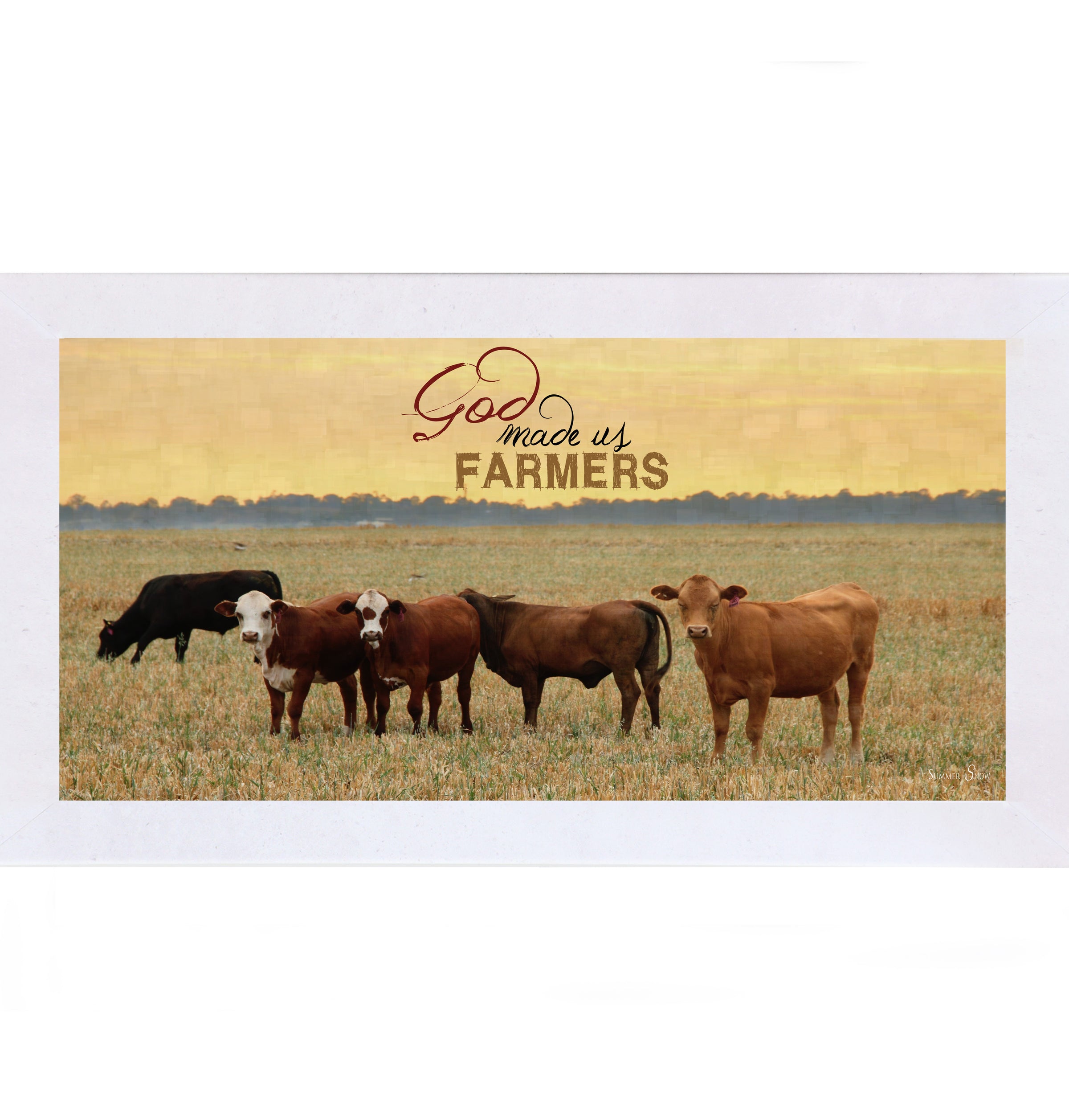 Terracotta White framed wide panoramic farmhouse wall art featuring cattle grazing in a golden sunset field with pallet wood background and the words God Made Us Farmers
