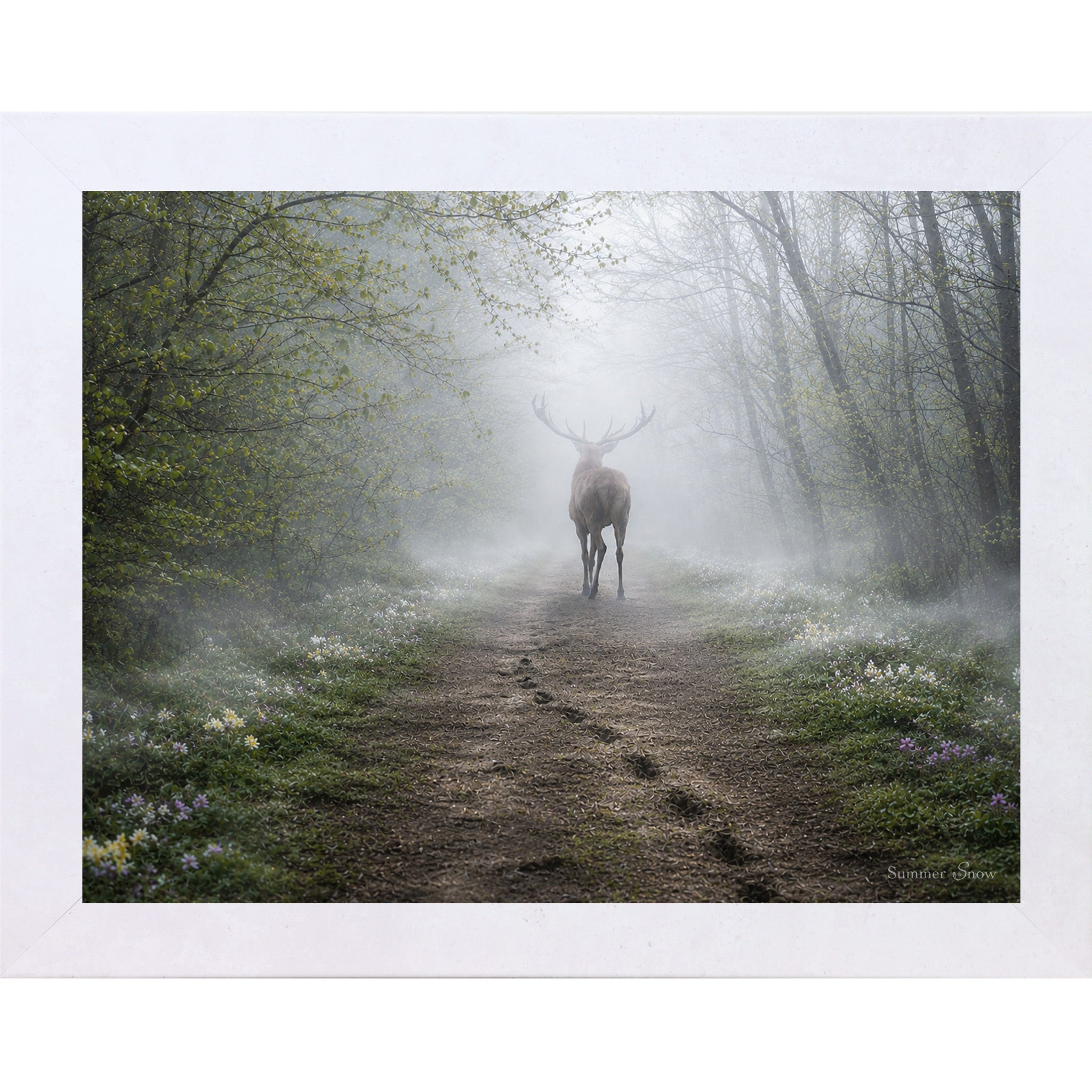 Terracotta White framed horizontal nature wall art featuring a deer silhouette dissolving into heavy morning mist on a spring forest path with wildflowers and hoofprints in the soft earth