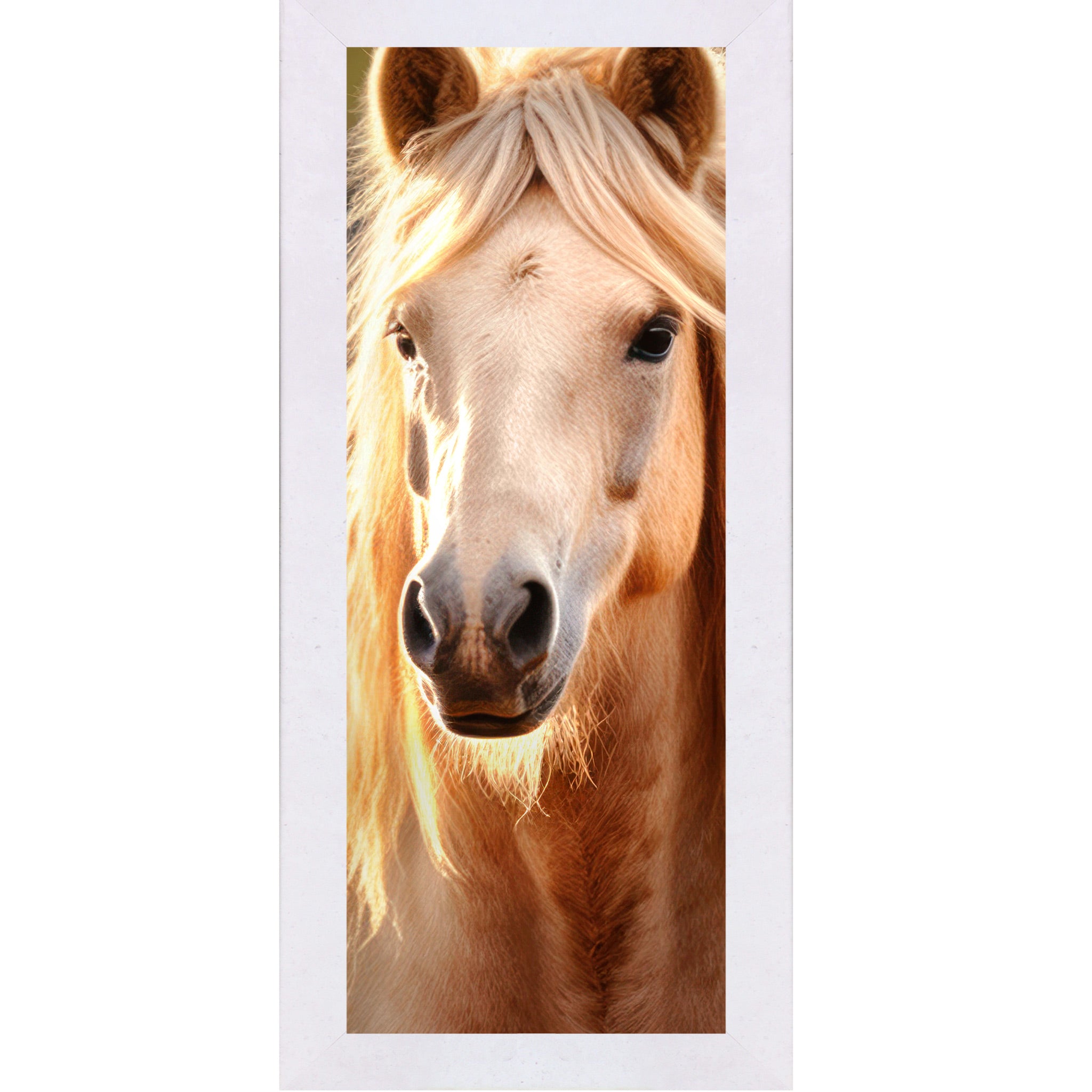 Terracotta white framed narrow portrait palomino horse wall art featuring a golden mane palomino horse with direct eye contact, warm backlit glow, and cream mane cascading on both sides
