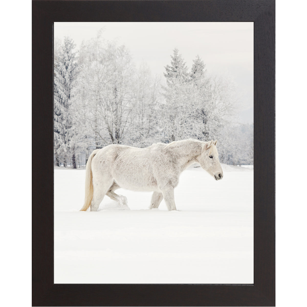 White Horse in Snow Wall Art – Winter Equine Photography Print – Summer ...
