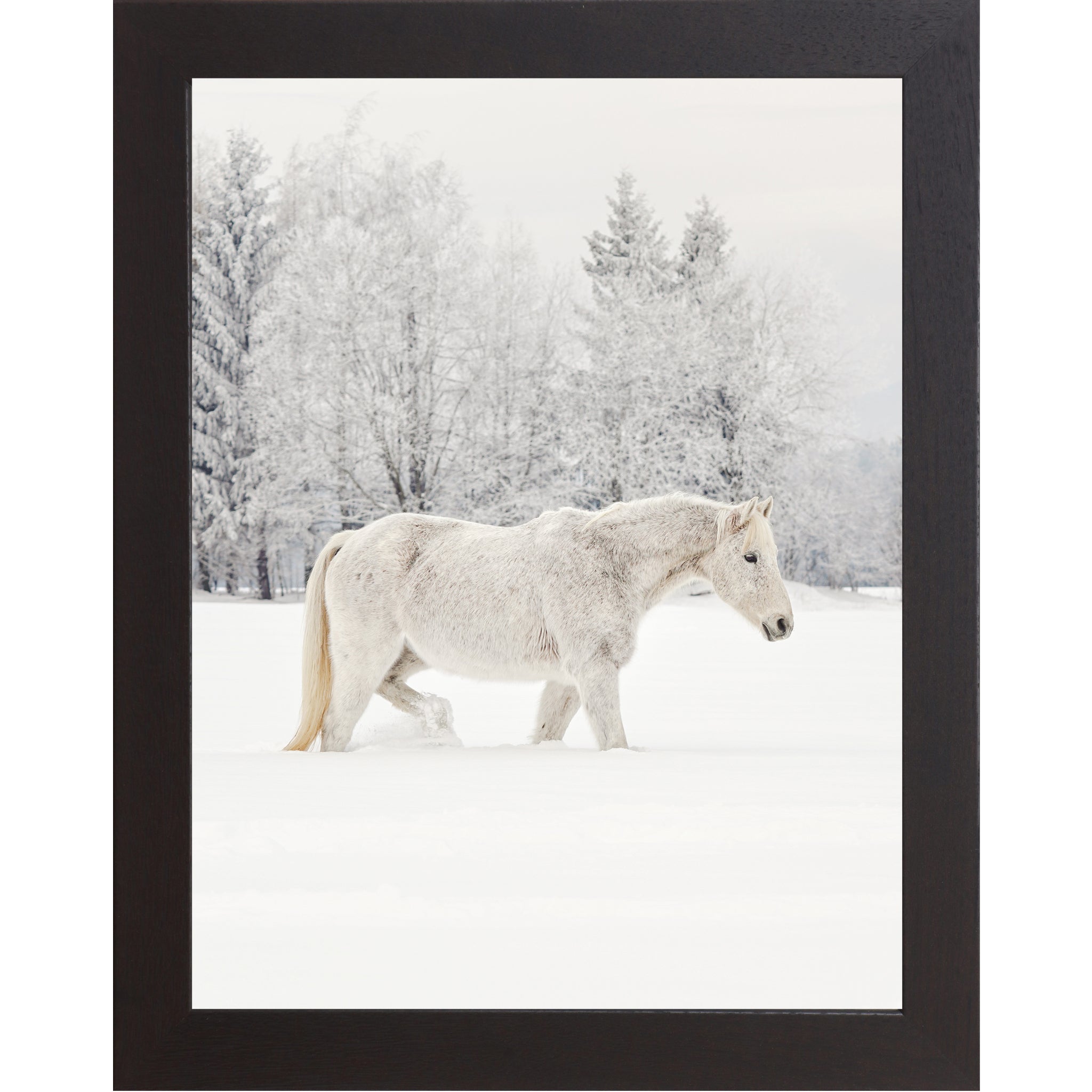 White horse walking through a snowy field with a winter forest background in a calm, realistic landscape