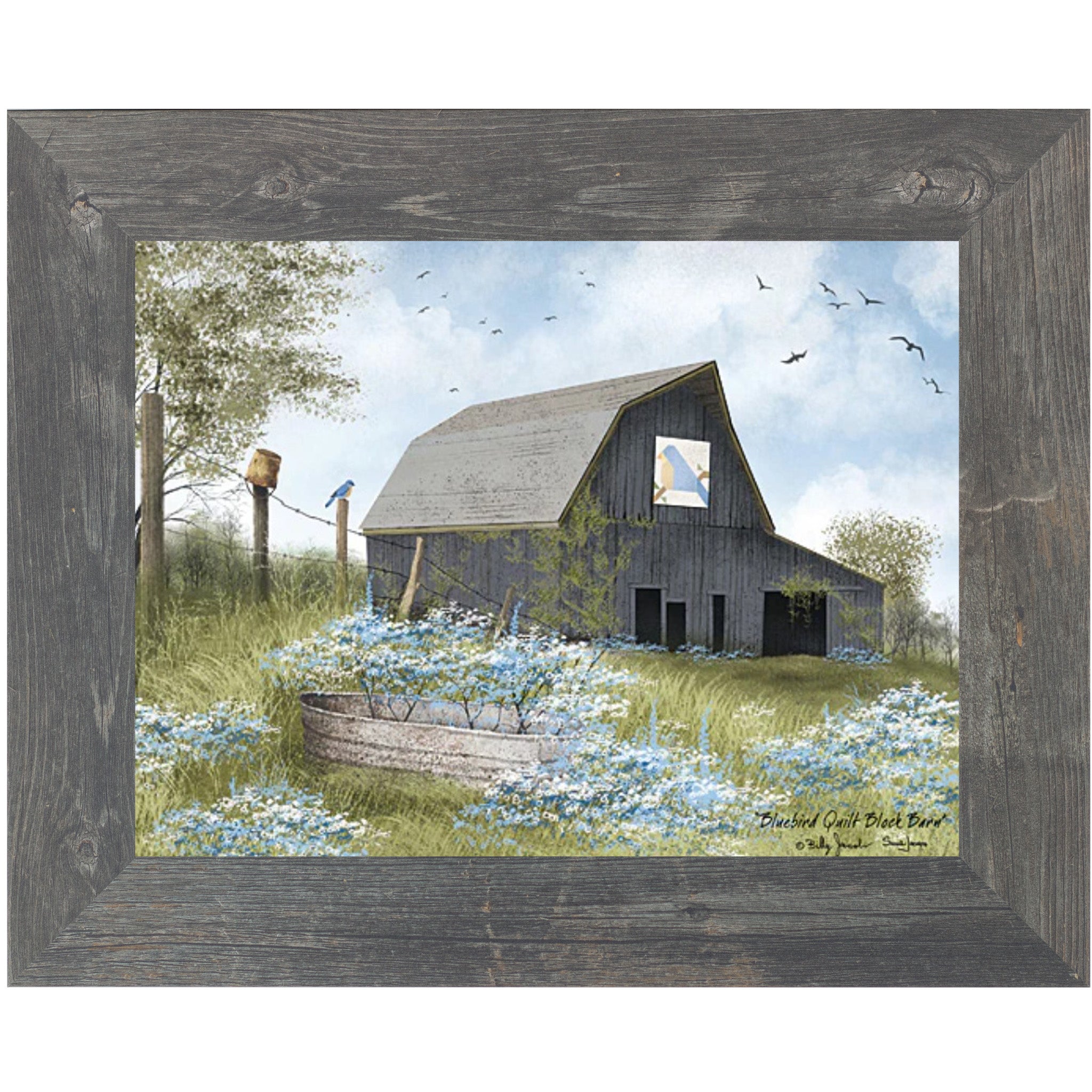 【amaproject】『少女』Design by JaneBirkin Bluebird Quilt Block Barn by Billy Jacobs BJ1371 – Summer