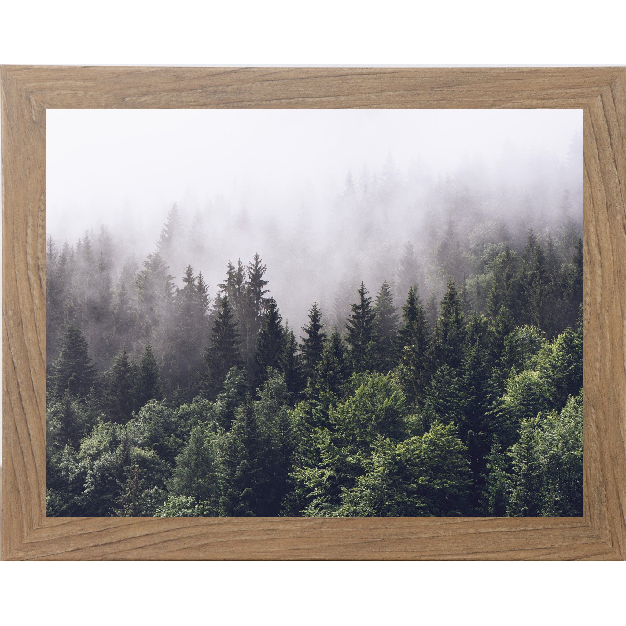 Misty Forest Wall Art – Serene Nature Framed Art (No Text) | SS185