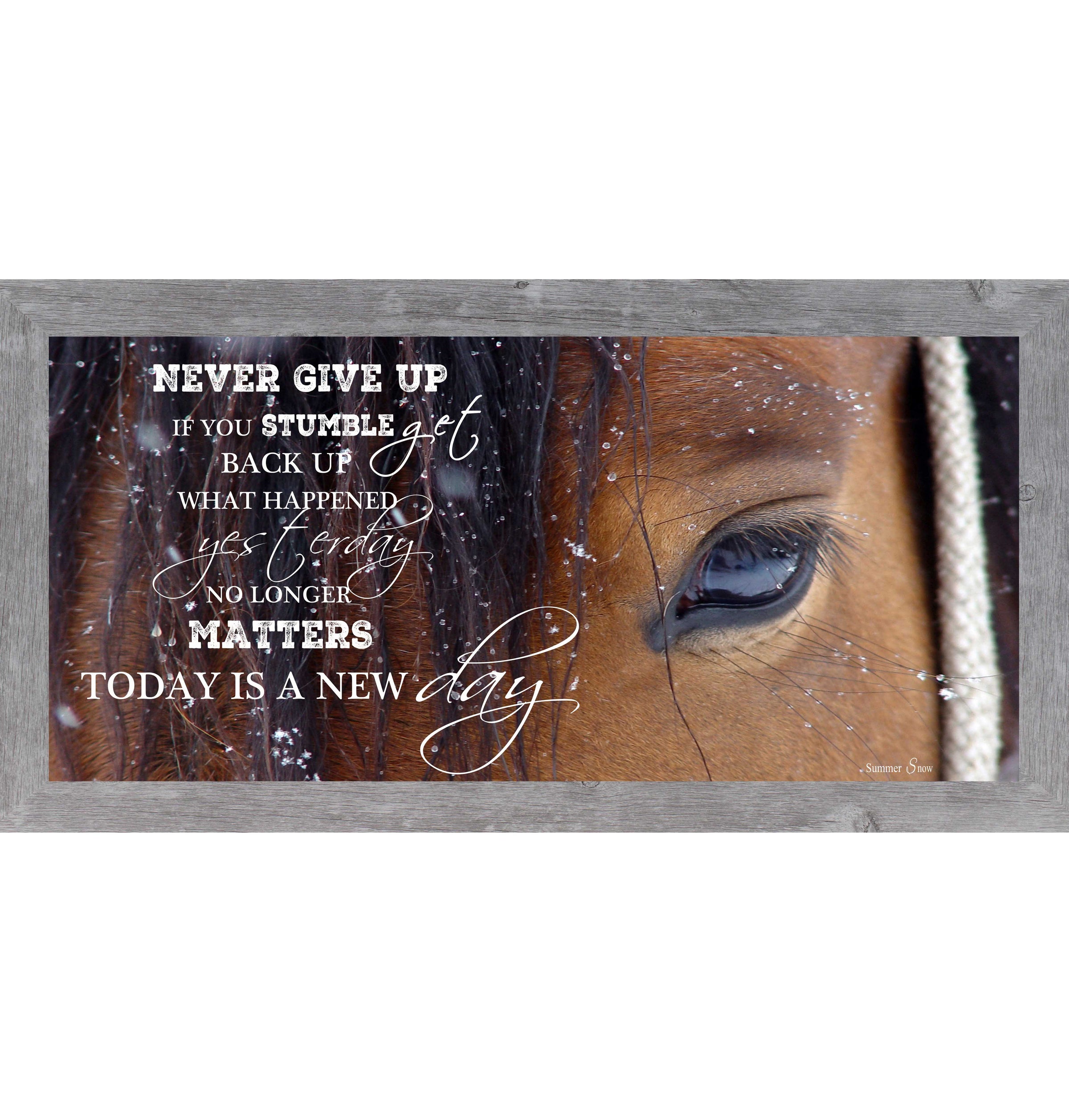 Never Give Up SSW1865