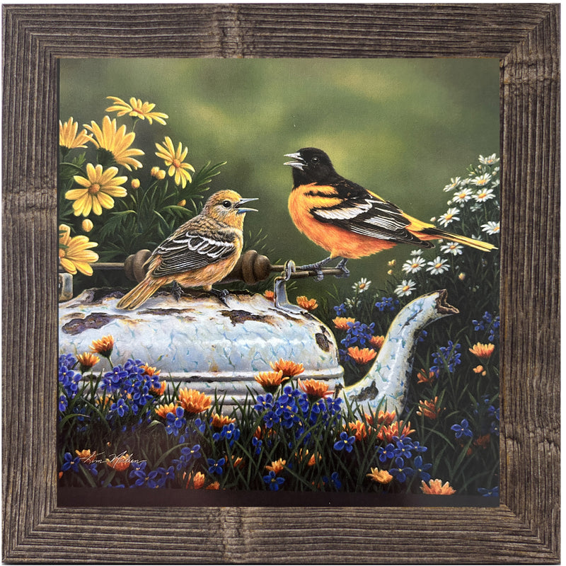Orioles In The Garden by Kim Norlien KN48
