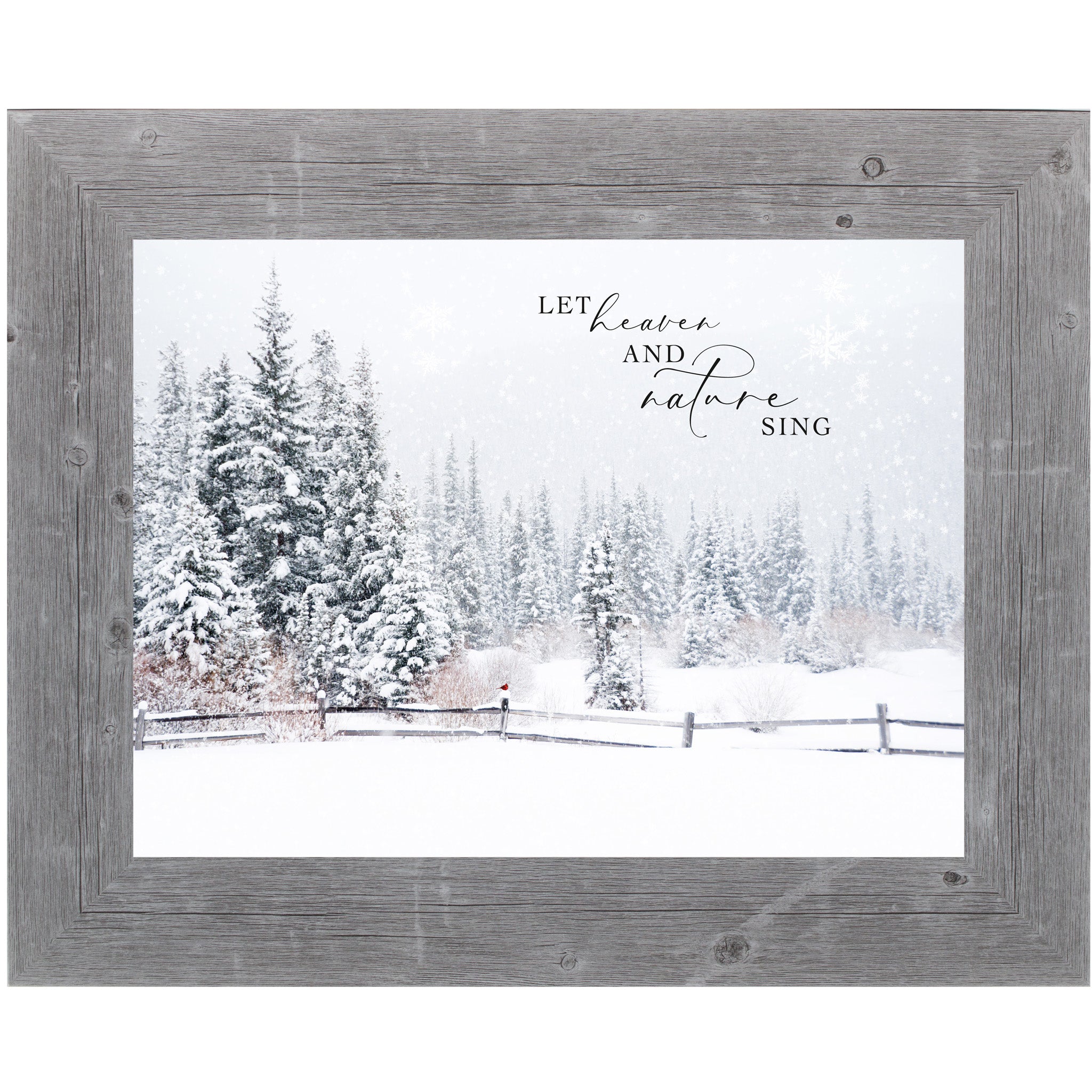 アート・デザイン・音楽 the  WINTER / jem southam the river WINTER / jem southam