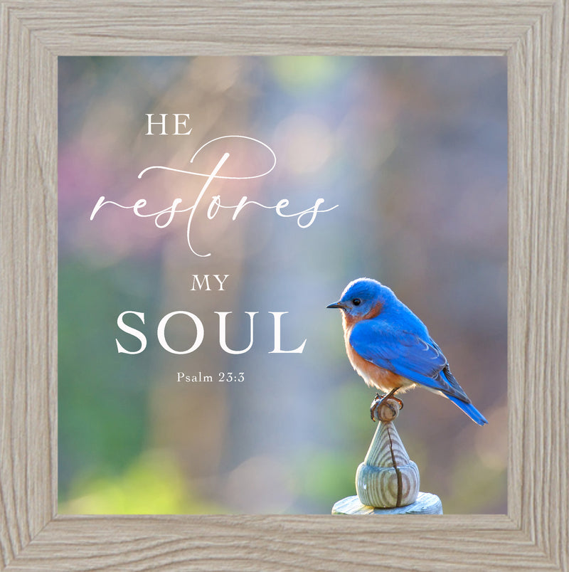 He Restores My Soul by Summer Snow SN62