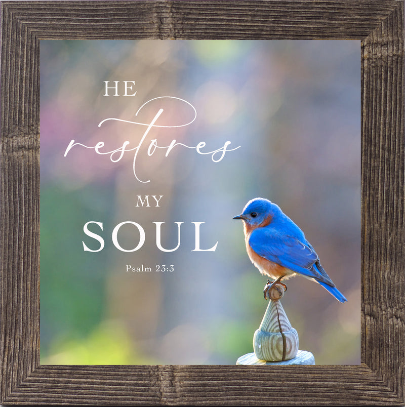 He Restores My Soul by Summer Snow SN62