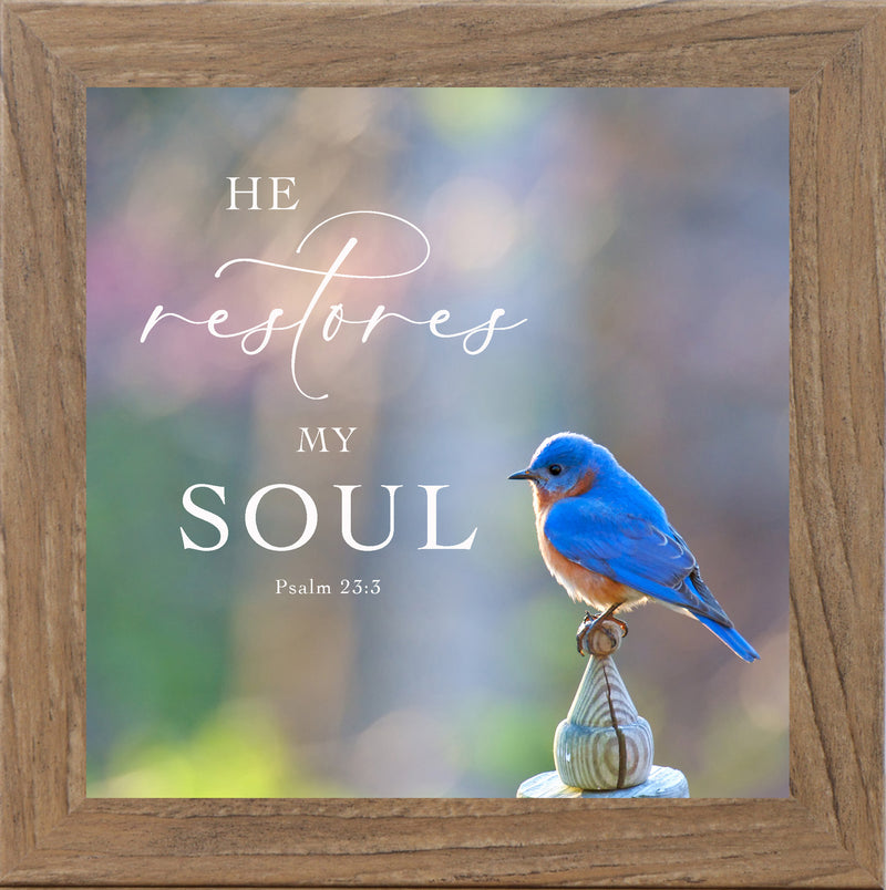 He Restores My Soul by Summer Snow SN62