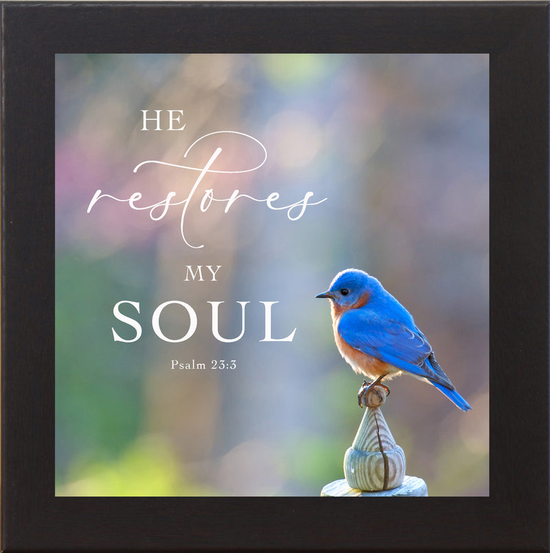 He Restores My Soul by Summer Snow SN62