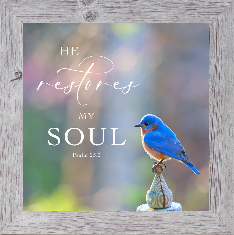 He Restores My Soul by Summer Snow SN62