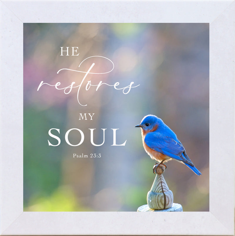 He Restores My Soul by Summer Snow SN62