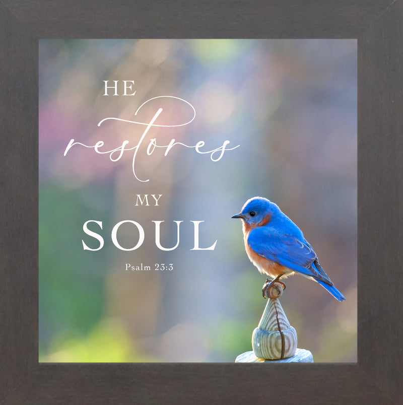 He Restores My Soul by Summer Snow SN62