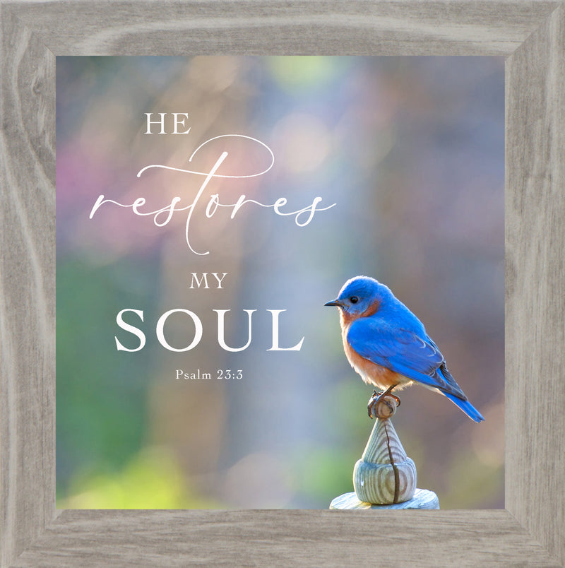 He Restores My Soul by Summer Snow SN62