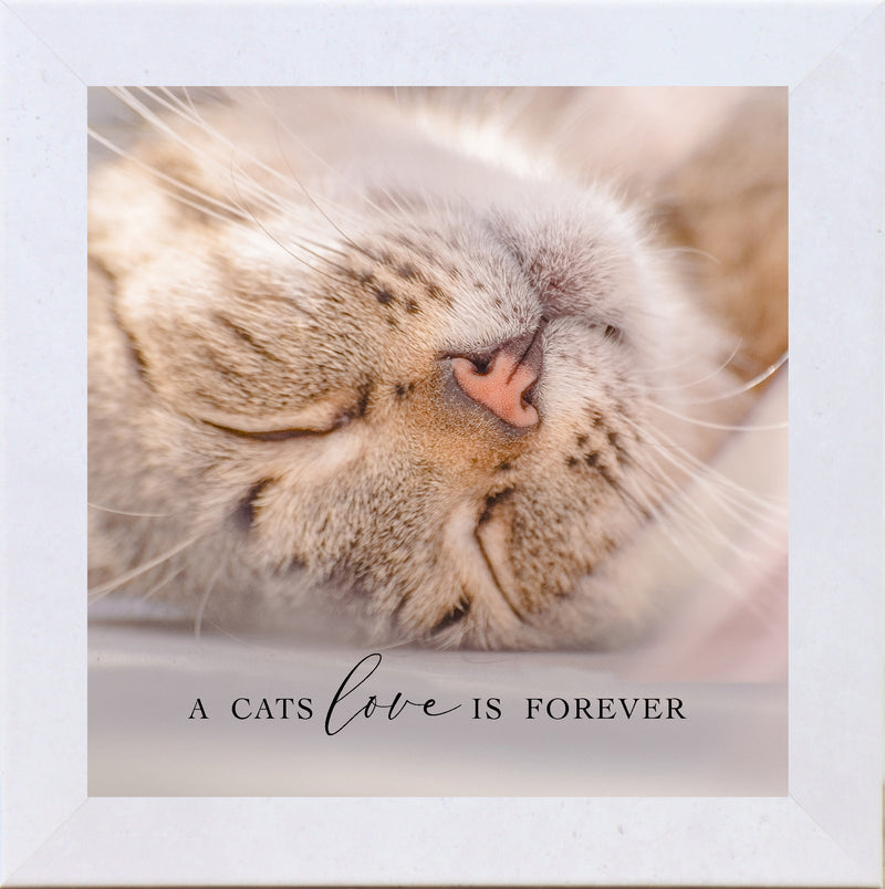 A Cats Love is Forever by Summer Snow SN72