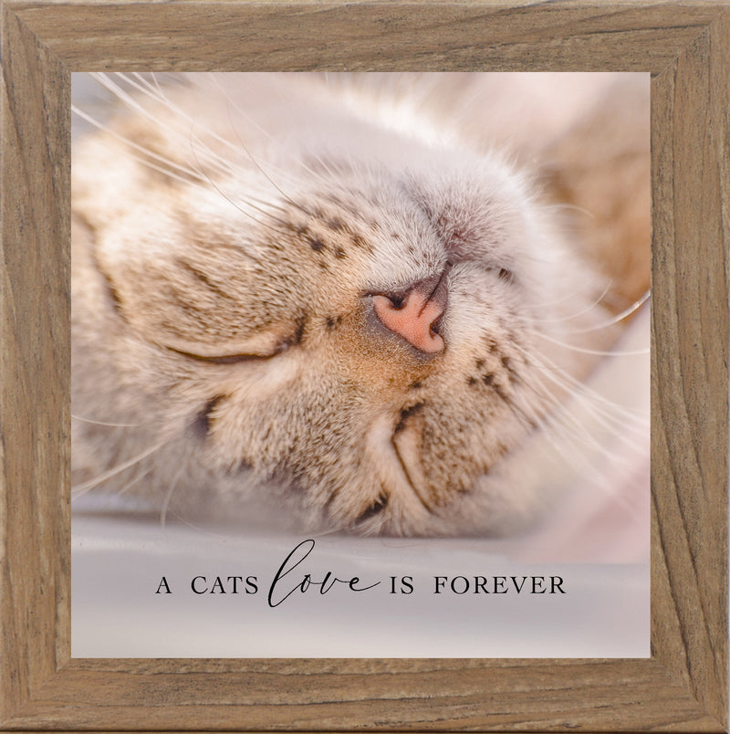 A Cats Love is Forever by Summer Snow SN72