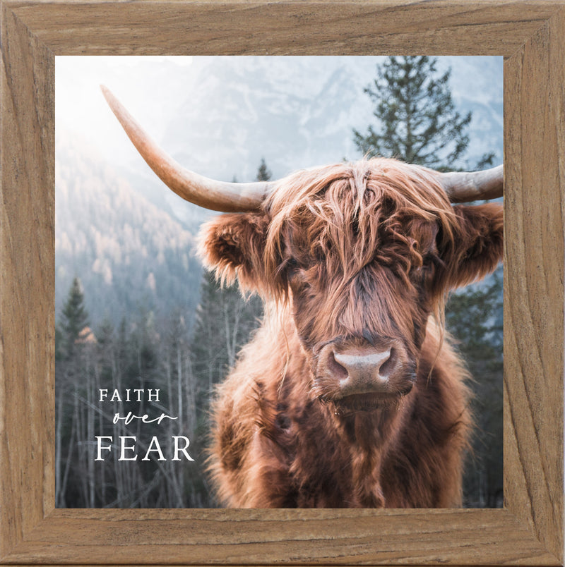 Fear Over Faith by Summer Snow SN83
