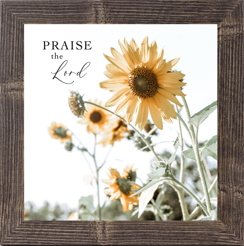 Praise the Lord by Summer Snow SN94