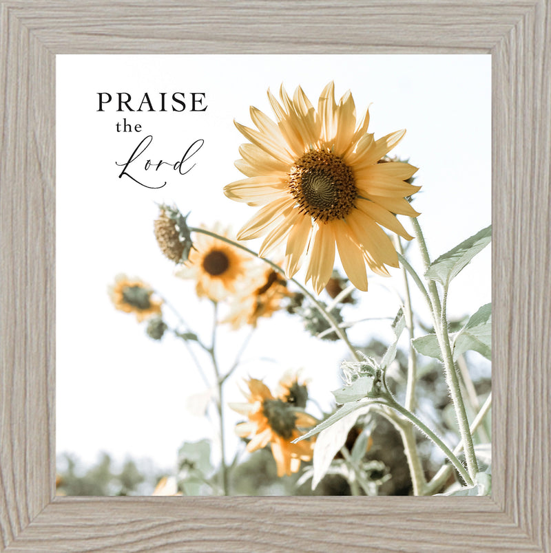 Praise the Lord by Summer Snow SN94