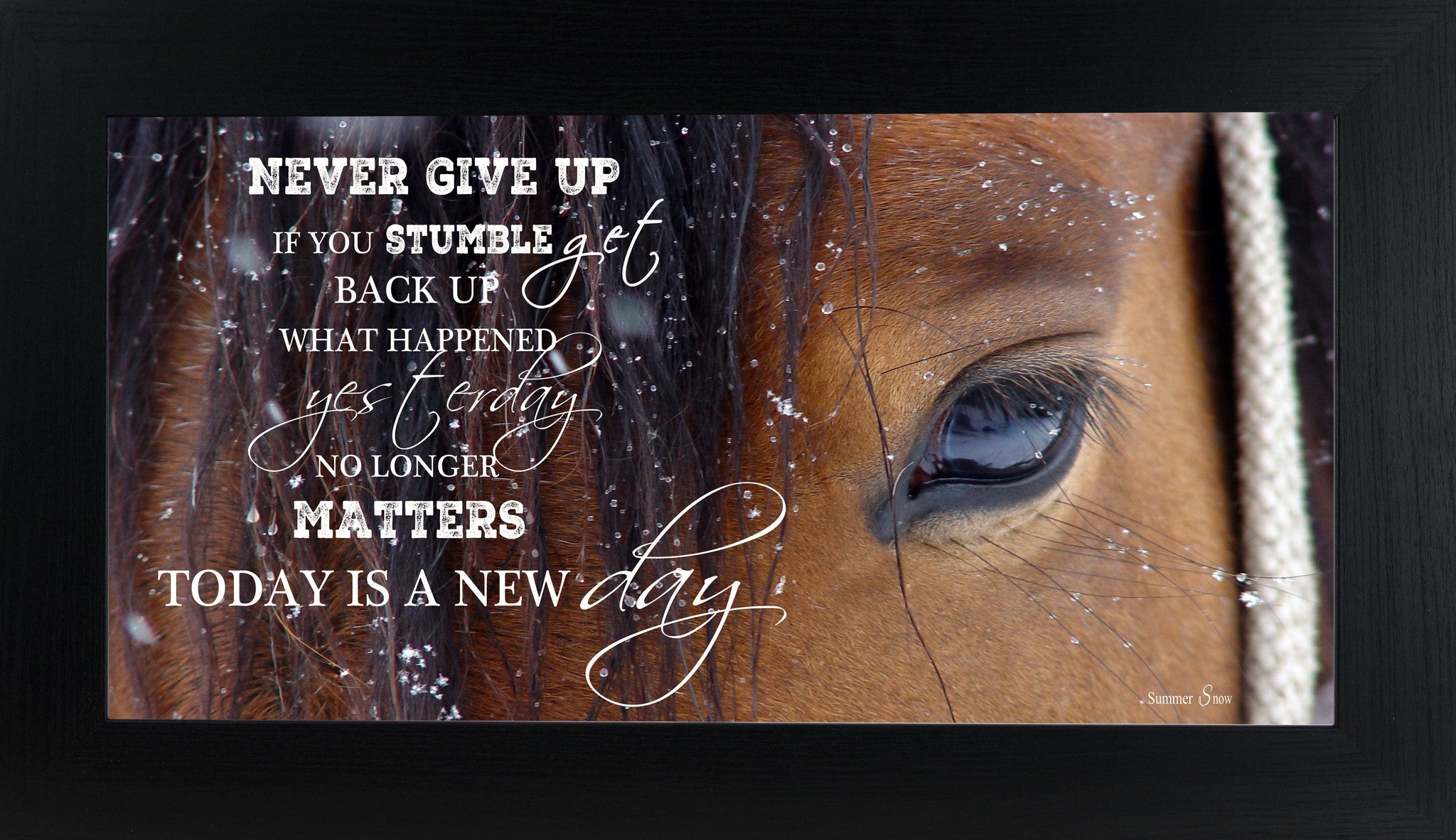 Never Give Up Brown Horse Eye SSW1865 - Summer Snow Art