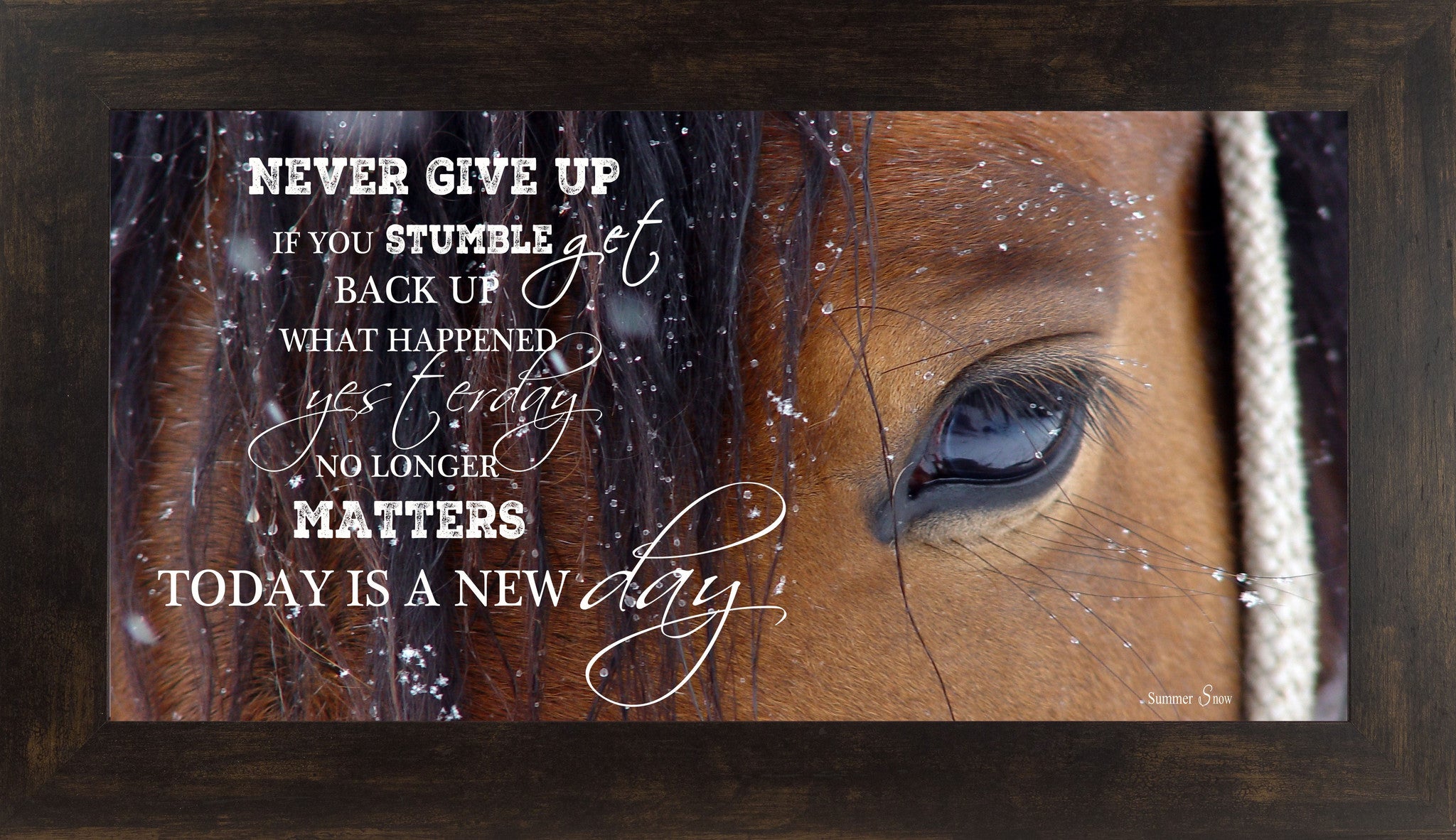 Never Give Up Brown Horse Eye SSW1865 - Summer Snow Art