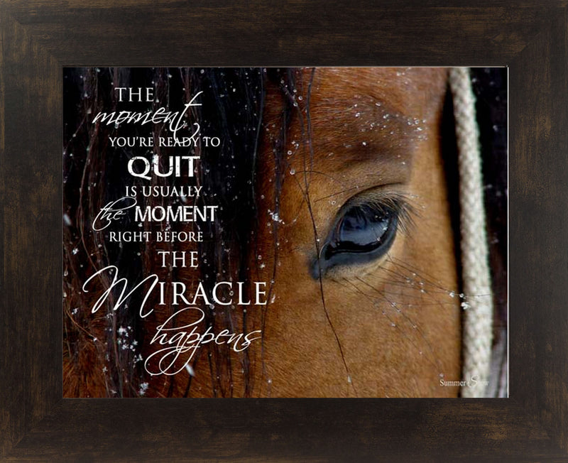 The Moment You're Ready to Quit horse eye SSW9812 - Summer Snow Art