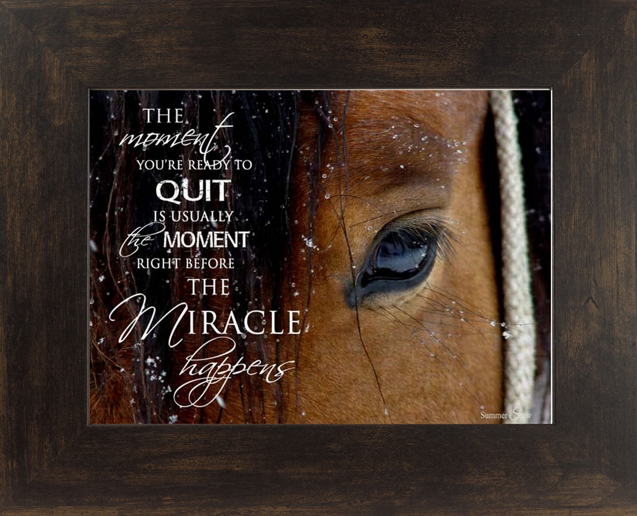 The Moment You're Ready to Quit horse eye SSW9812 - Summer Snow Art