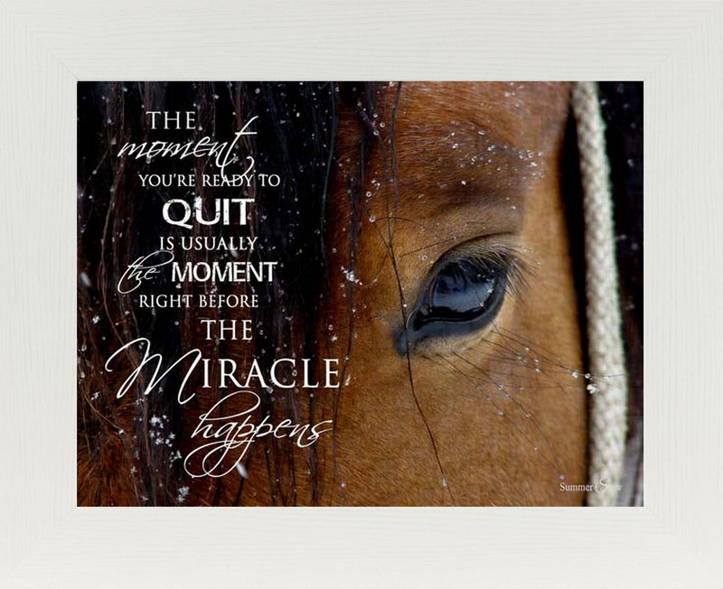 The Moment You're Ready to Quit horse eye SSW9812 - Summer Snow Art