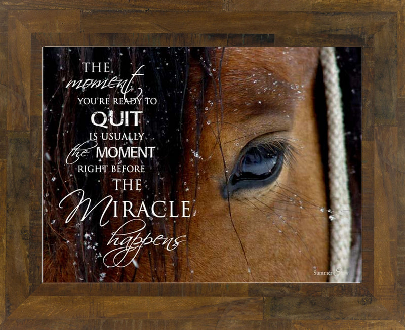 The Moment You're Ready to Quit horse eye SSW9812 - Summer Snow Art