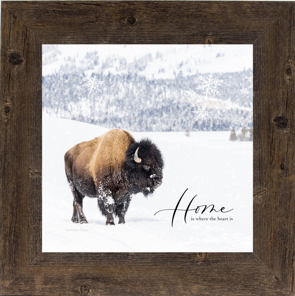Home is Where the Heart Is by Summer Snow SA121