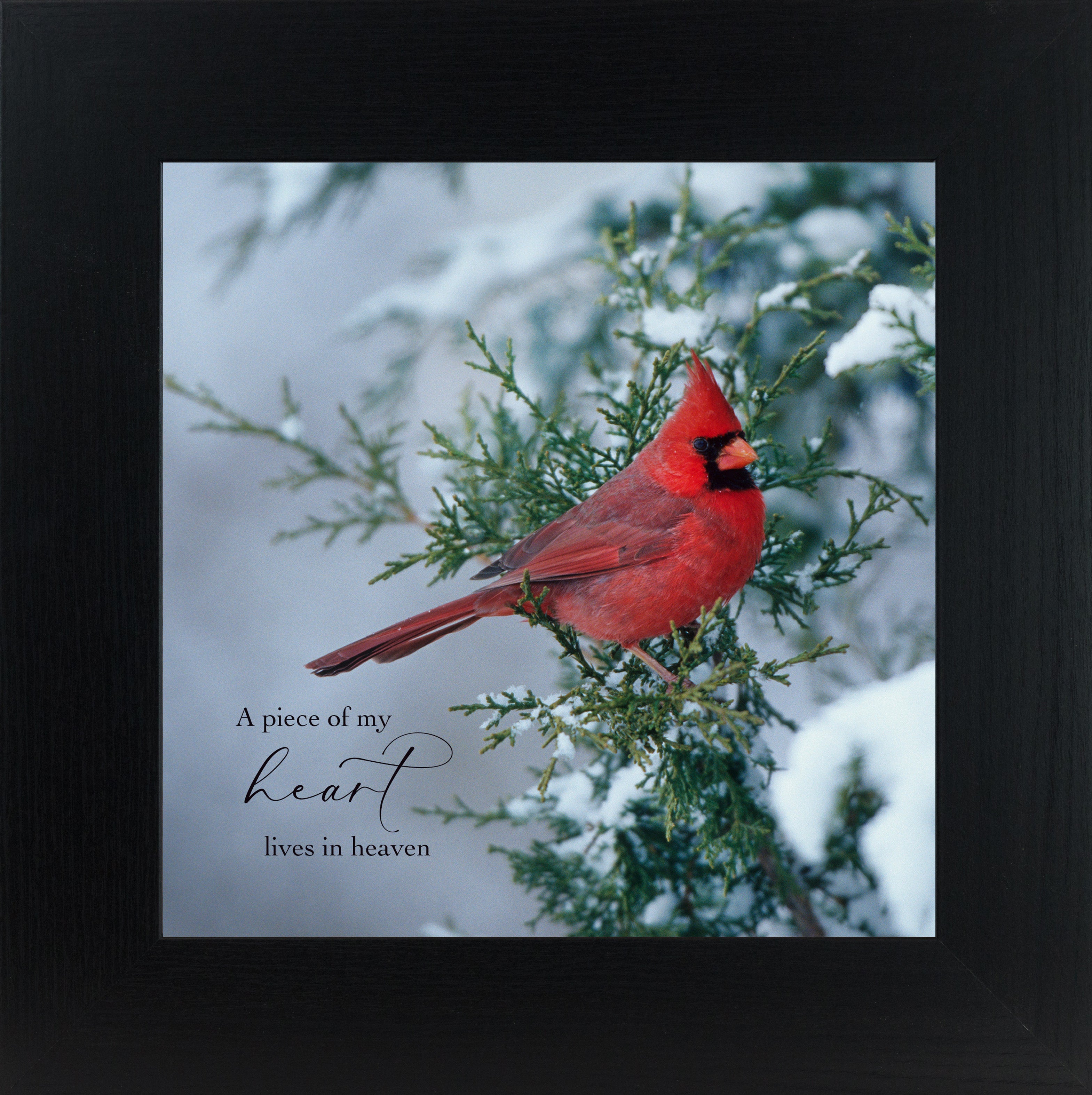 A Piece of My Heart Lives in Heaven – Winter Cardinal Sympathy