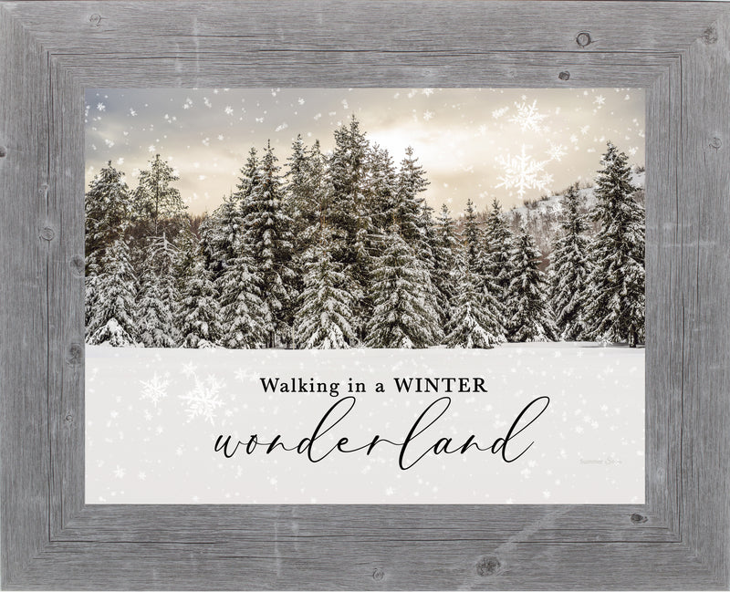 Walking in a Winter Wonderland by Summer Snow SA406