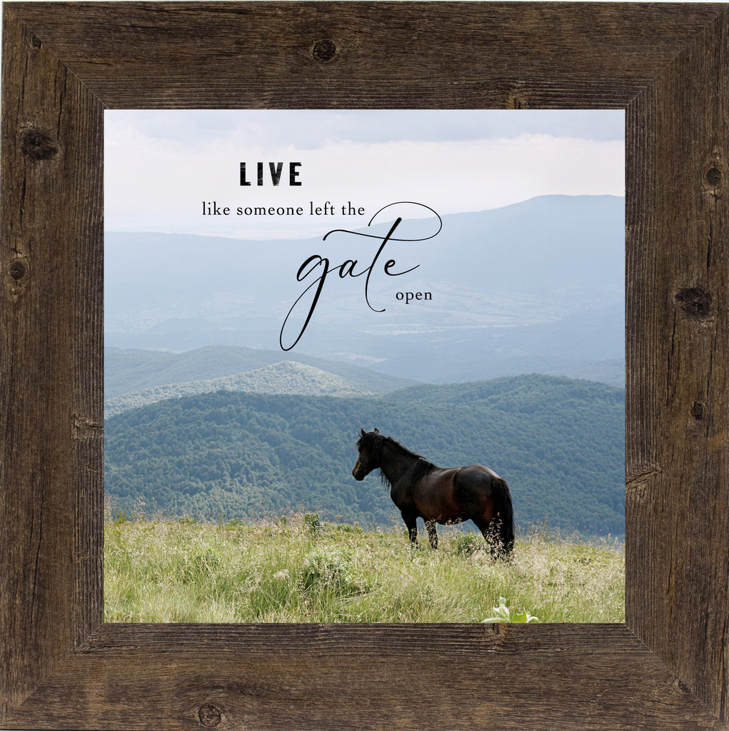 Live Like Someone Left the Gate Open SW64