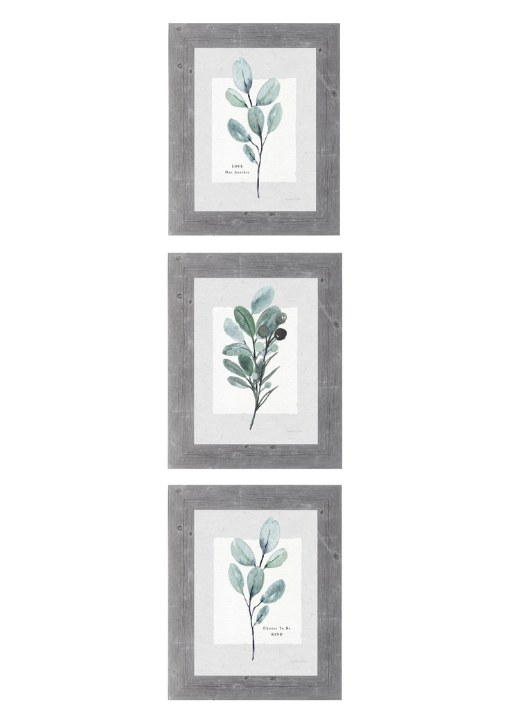 Botanicals Set of 3 Pictures by Summer Snow SET206