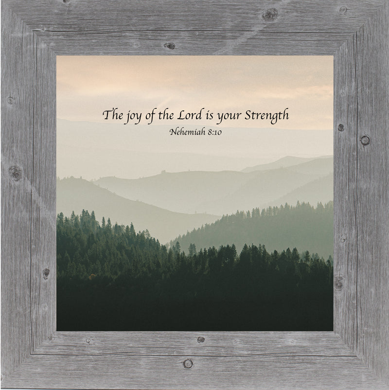 The Joy of the Lord by Summer Snow SN11